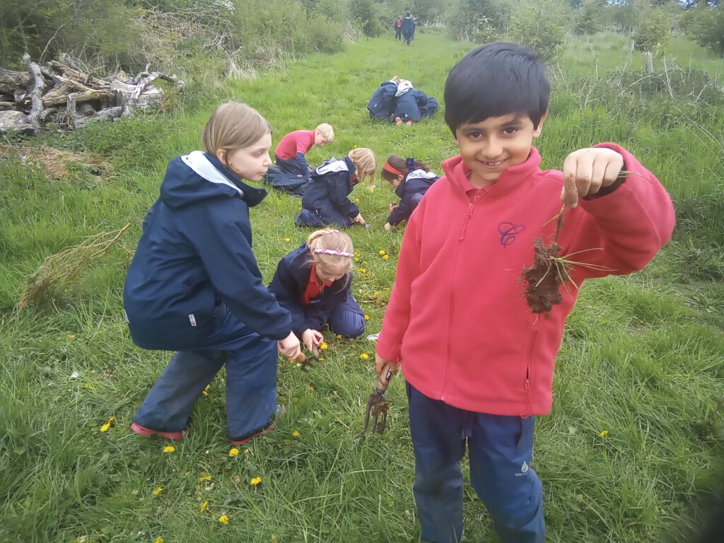 Taking our science outdoors!, Copthill School