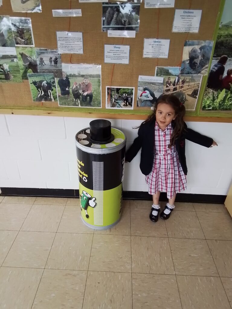 Three Dimensional Shape Detectives!, Copthill School