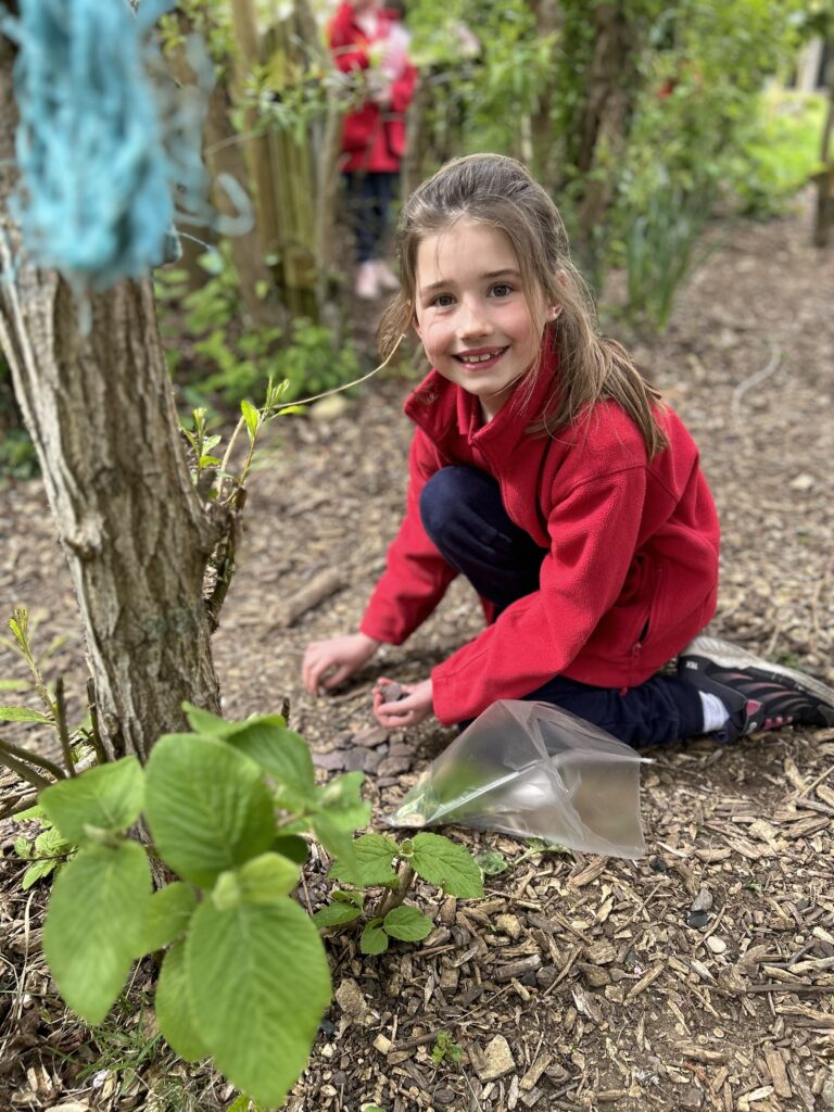 Four seasons in one day!, Copthill School