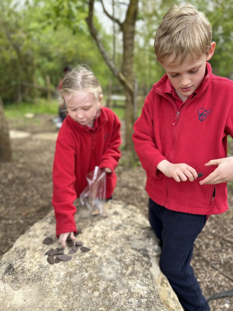 Four seasons in one day!, Copthill School