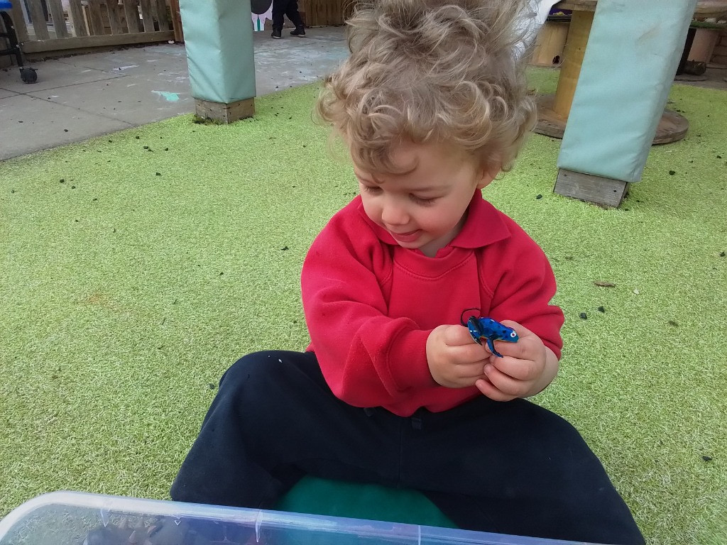 Exploring Beach Treasure, Copthill School