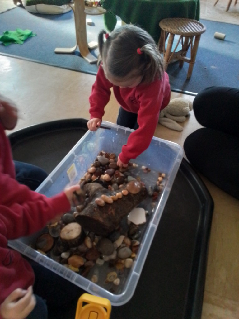 Exploring Beach Treasure, Copthill School