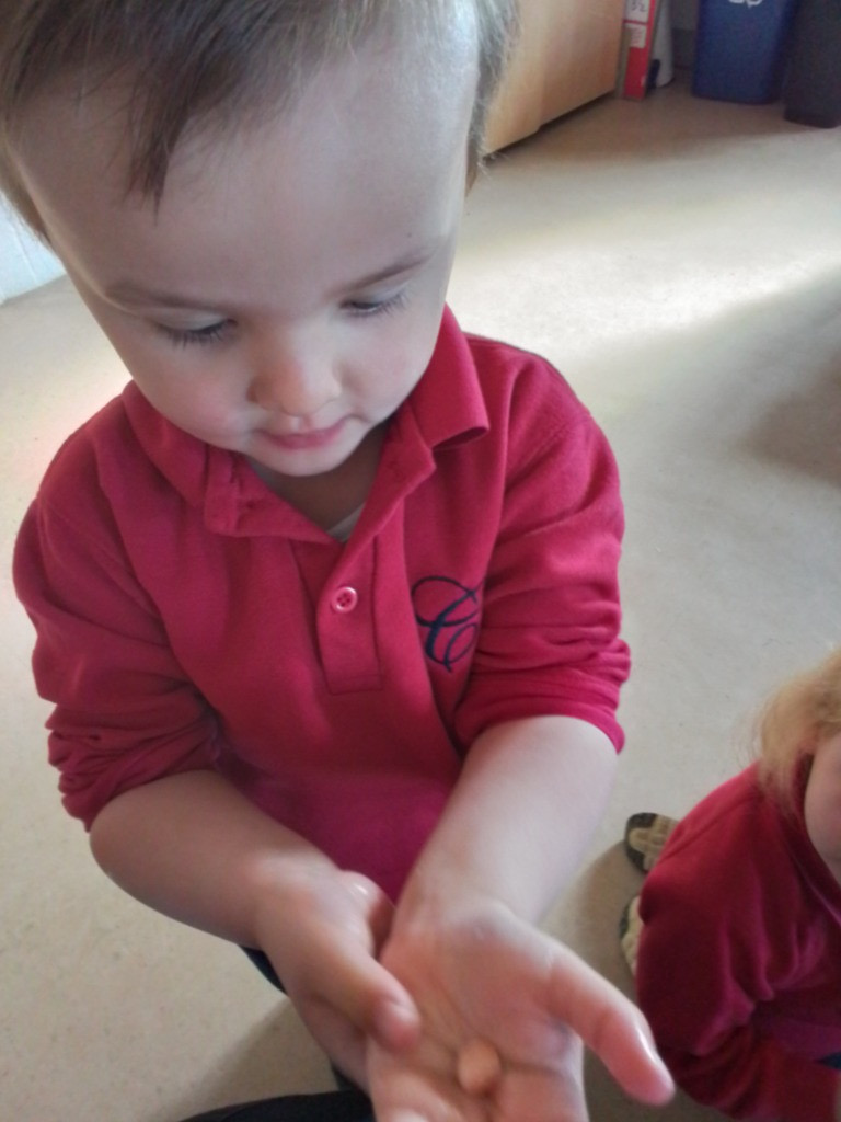 Exploring Beach Treasure, Copthill School