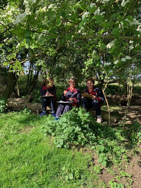 Y6 nature poetry, Copthill School