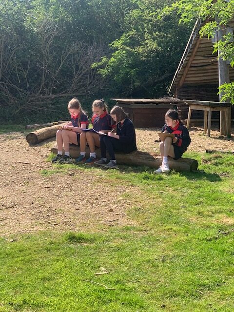 Y6 nature poetry, Copthill School