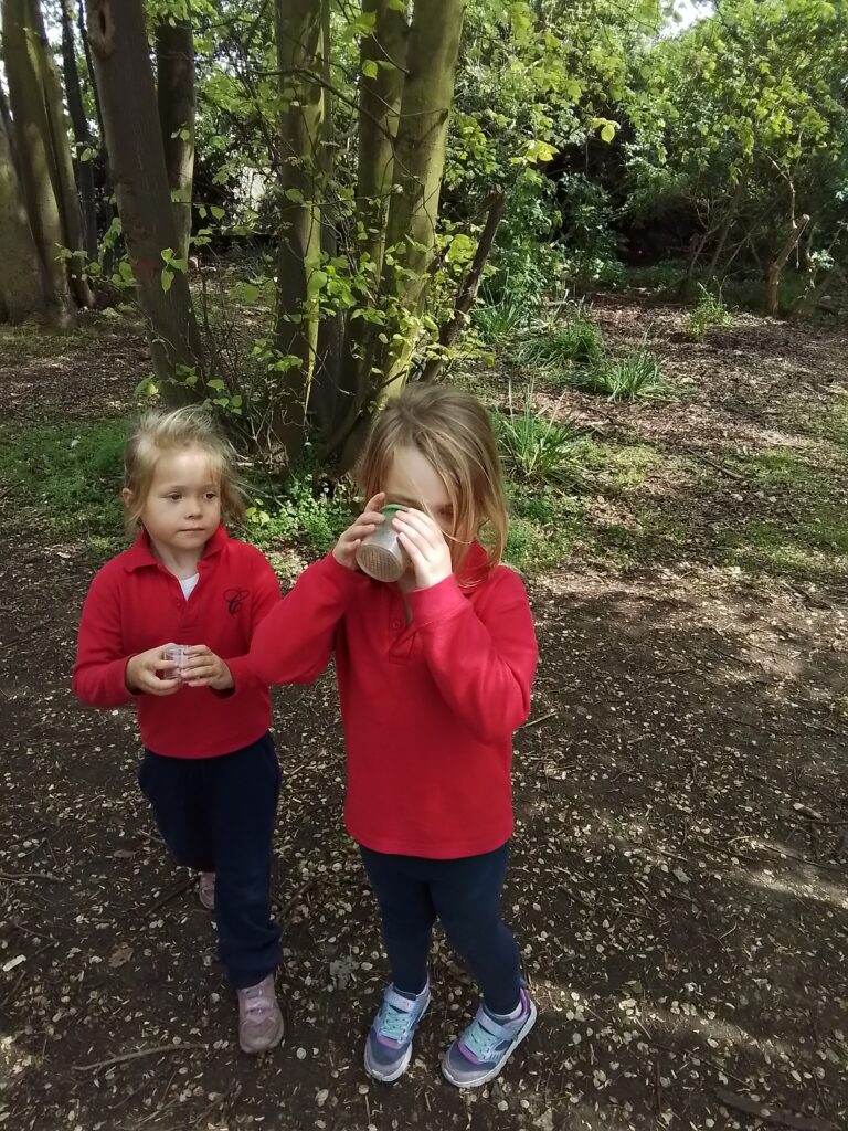 Knots and Minibeast Hunting in the Forest!, Copthill School