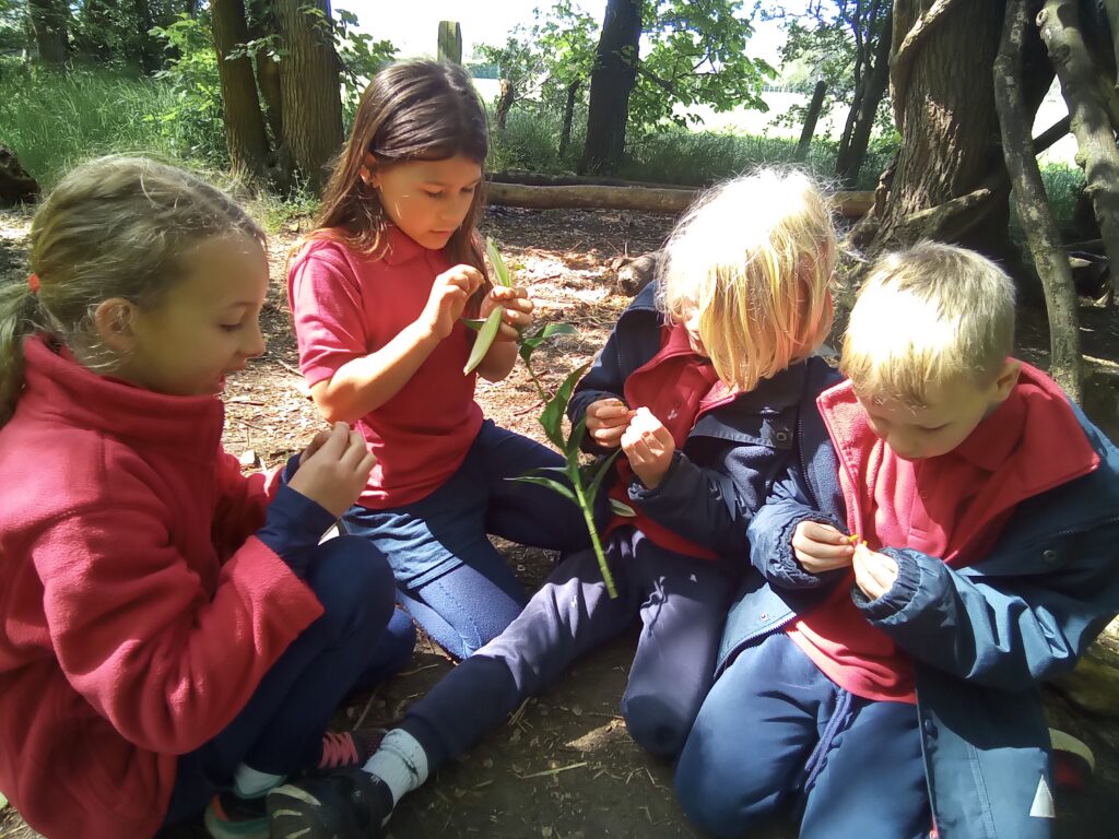 Here comes the sun&#8230;., Copthill School