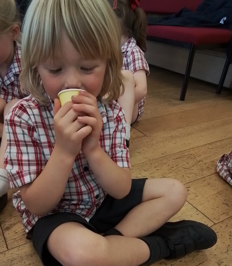 World Bee Day!, Copthill School