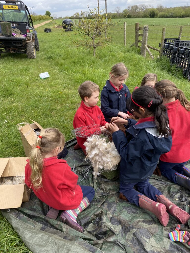 Bug explorers and newt saviours!, Copthill School