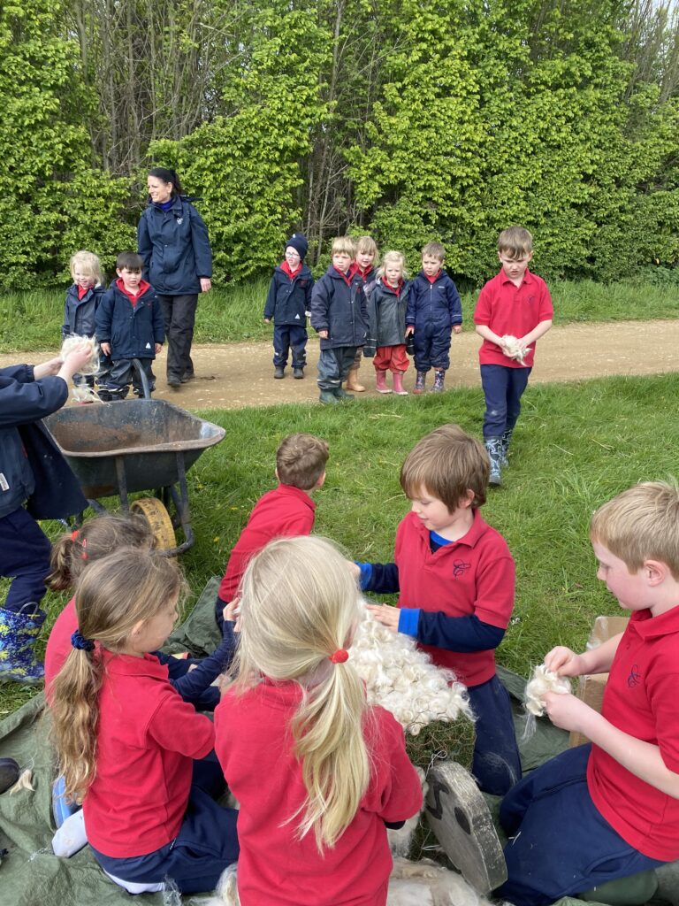 Bug explorers and newt saviours!, Copthill School