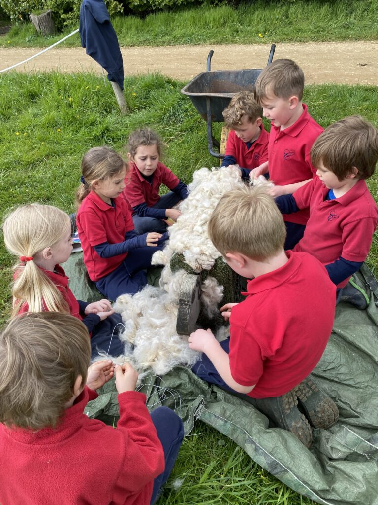 Bug explorers and newt saviours!, Copthill School