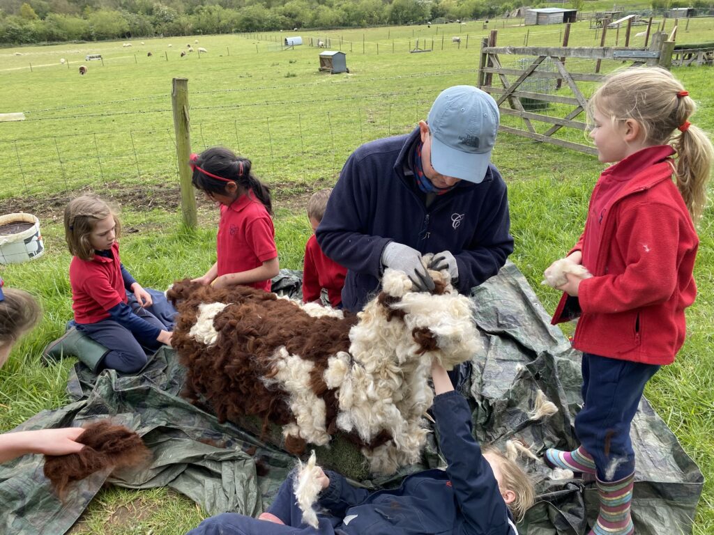 Bug explorers and newt saviours!, Copthill School