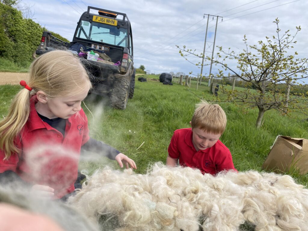 Bug explorers and newt saviours!, Copthill School