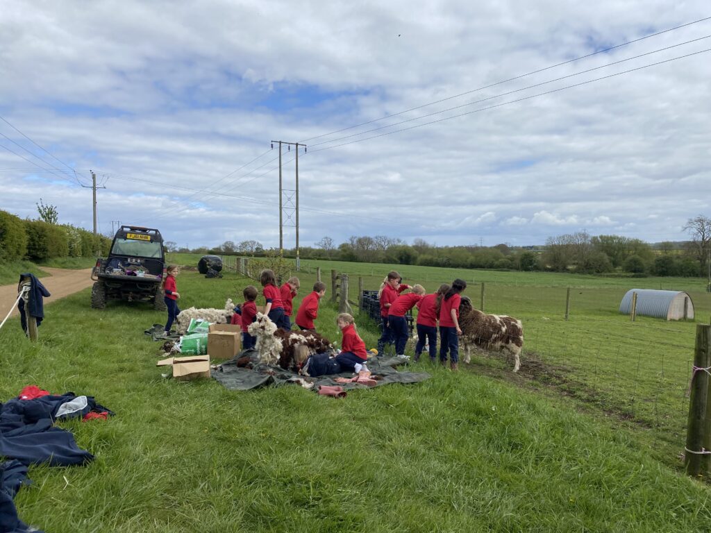 Bug explorers and newt saviours!, Copthill School