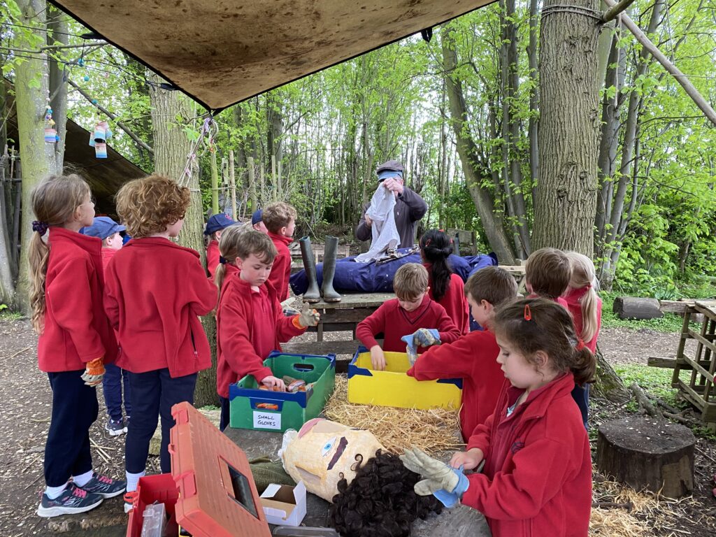 Bug explorers and newt saviours!, Copthill School