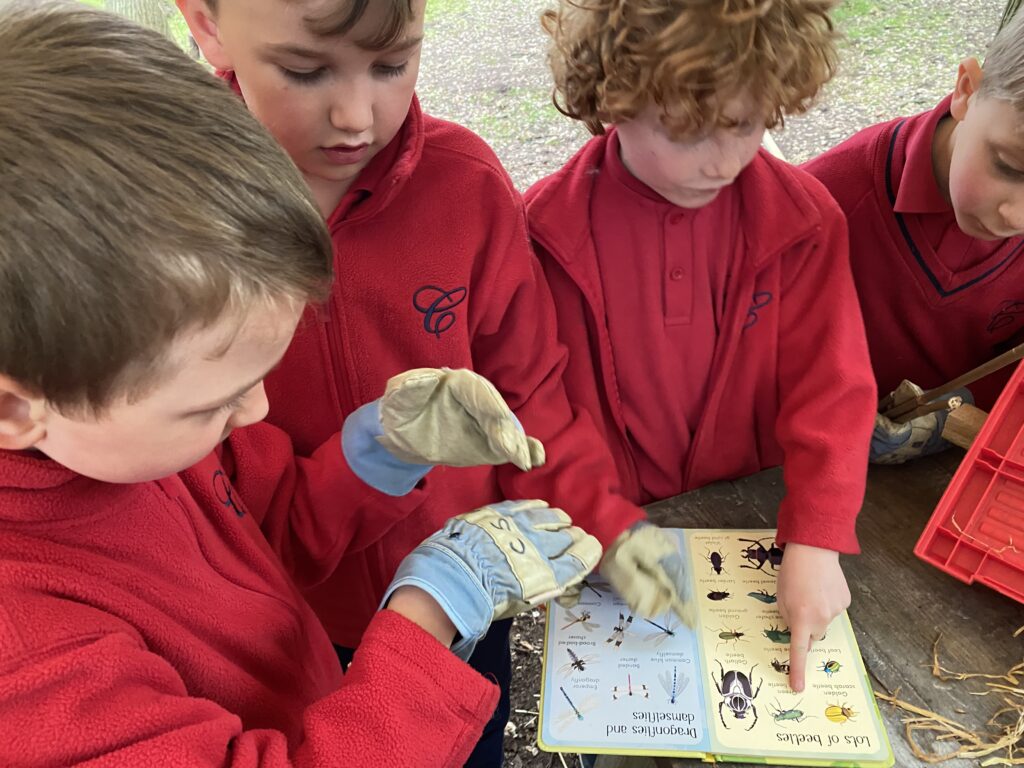 Bug explorers and newt saviours!, Copthill School