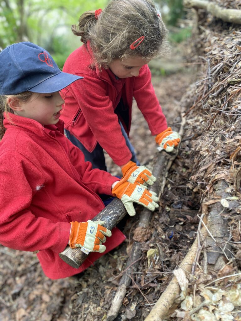 Bug explorers and newt saviours!, Copthill School