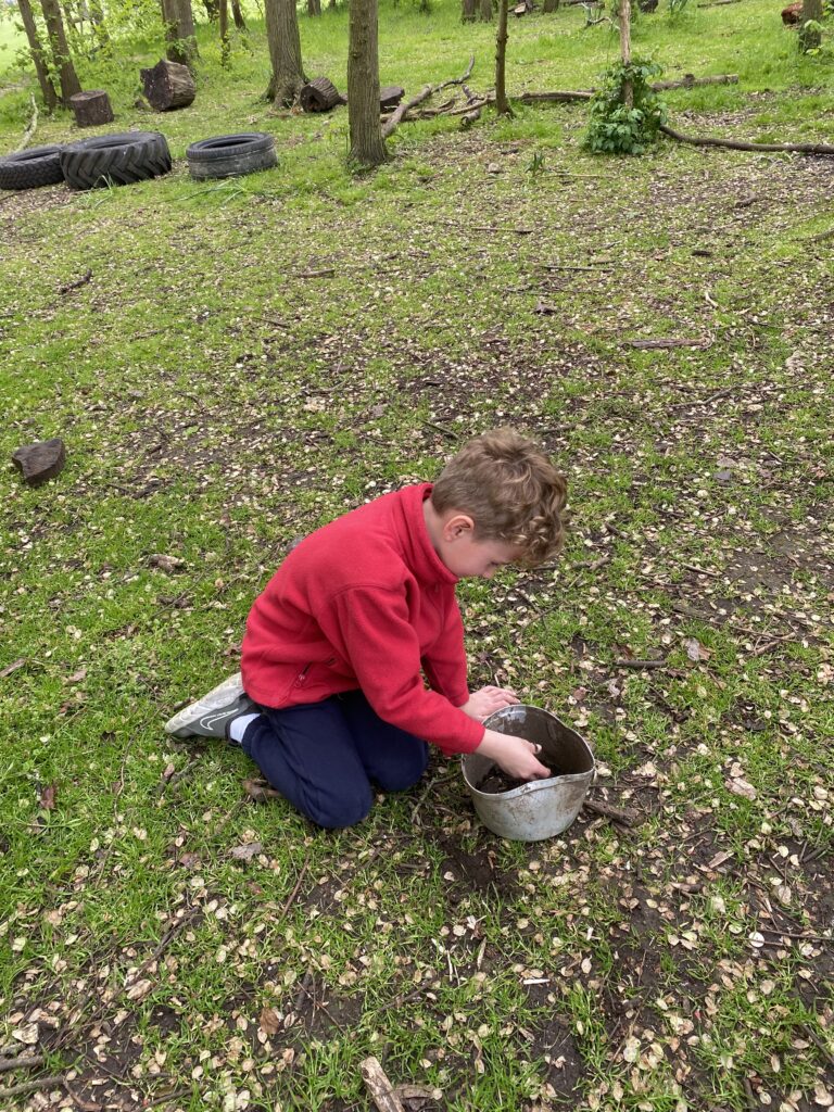 Bug explorers and newt saviours!, Copthill School