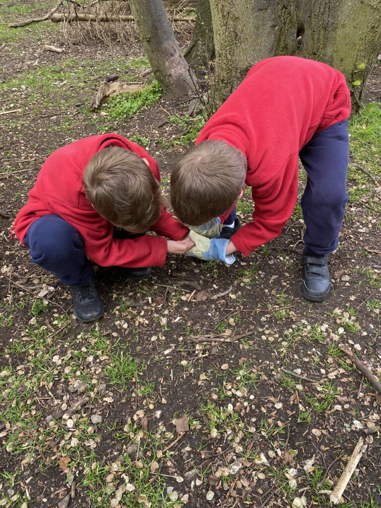 Bug explorers and newt saviours!, Copthill School