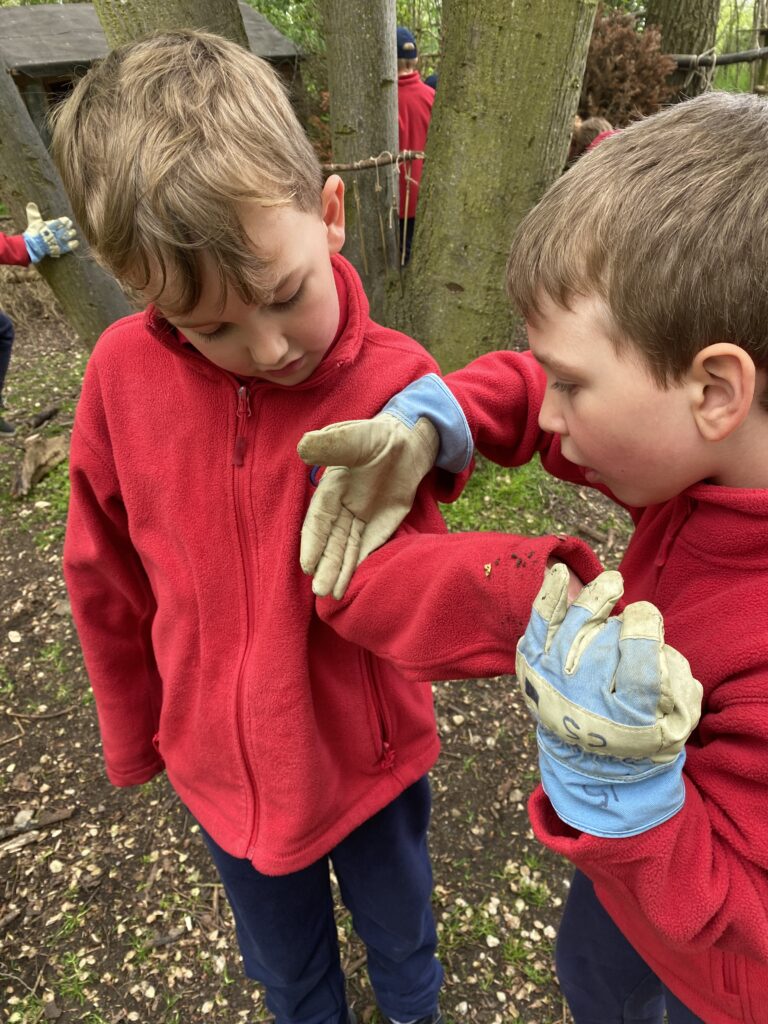 Bug explorers and newt saviours!, Copthill School