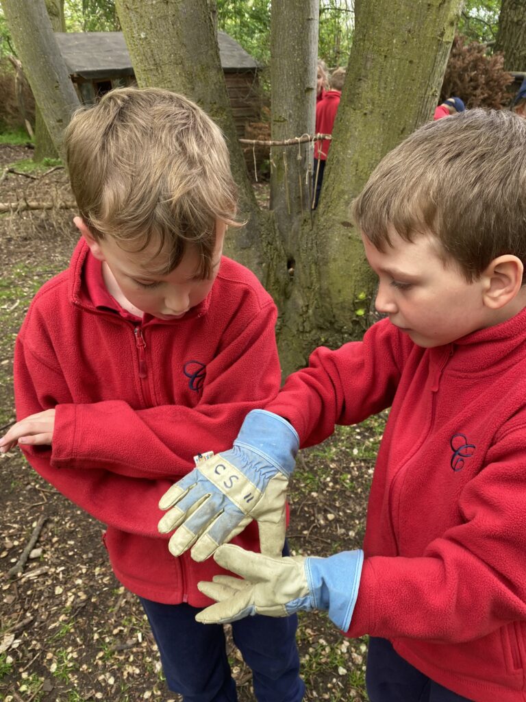 Bug explorers and newt saviours!, Copthill School