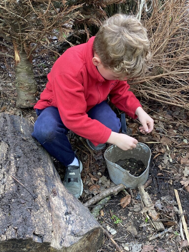 Bug explorers and newt saviours!, Copthill School