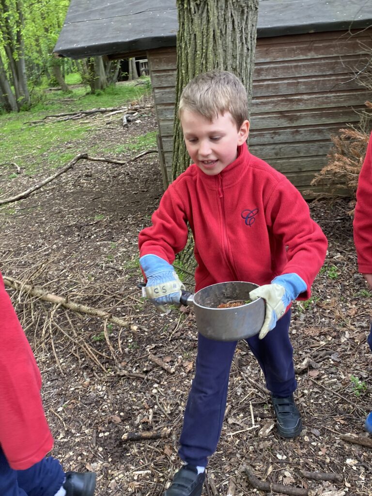 Bug explorers and newt saviours!, Copthill School