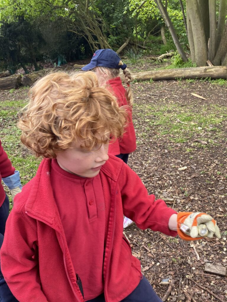 Bug explorers and newt saviours!, Copthill School