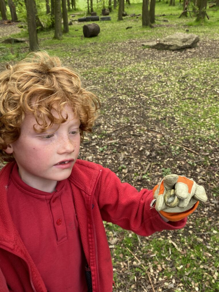 Bug explorers and newt saviours!, Copthill School