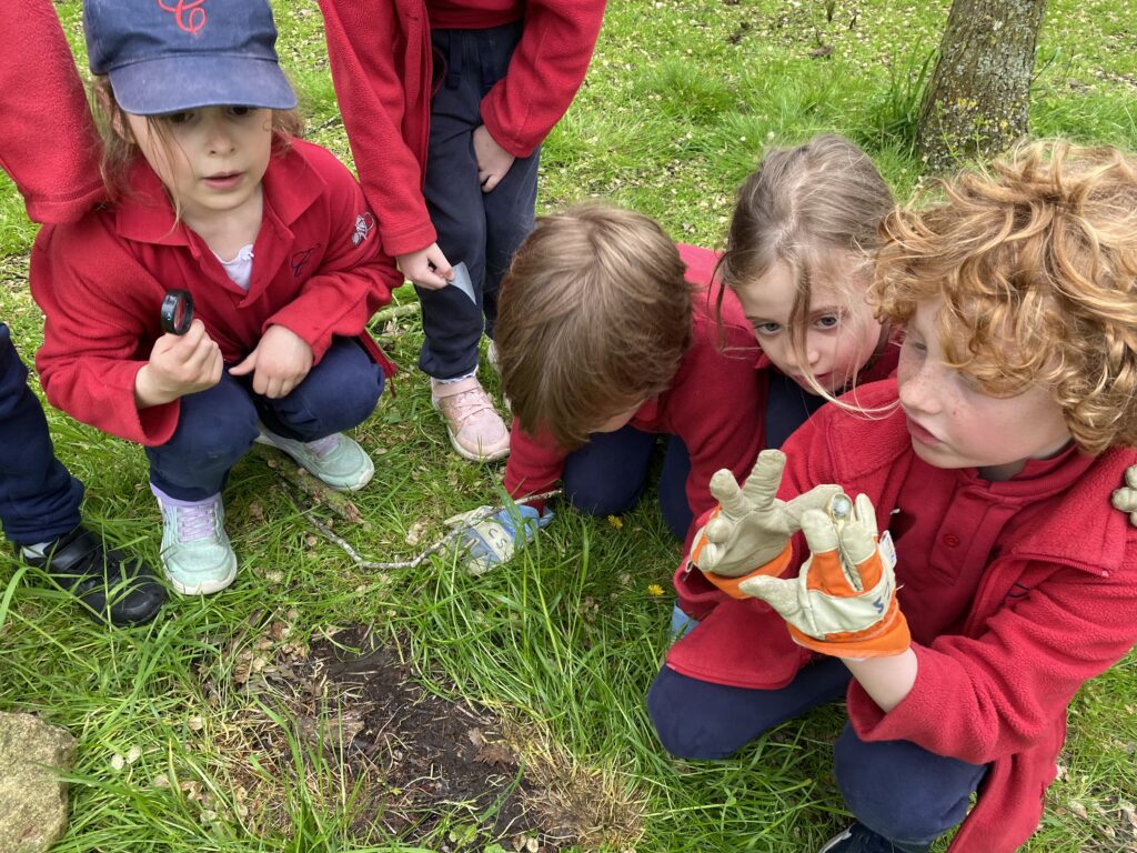 Bug explorers and newt saviours!, Copthill School