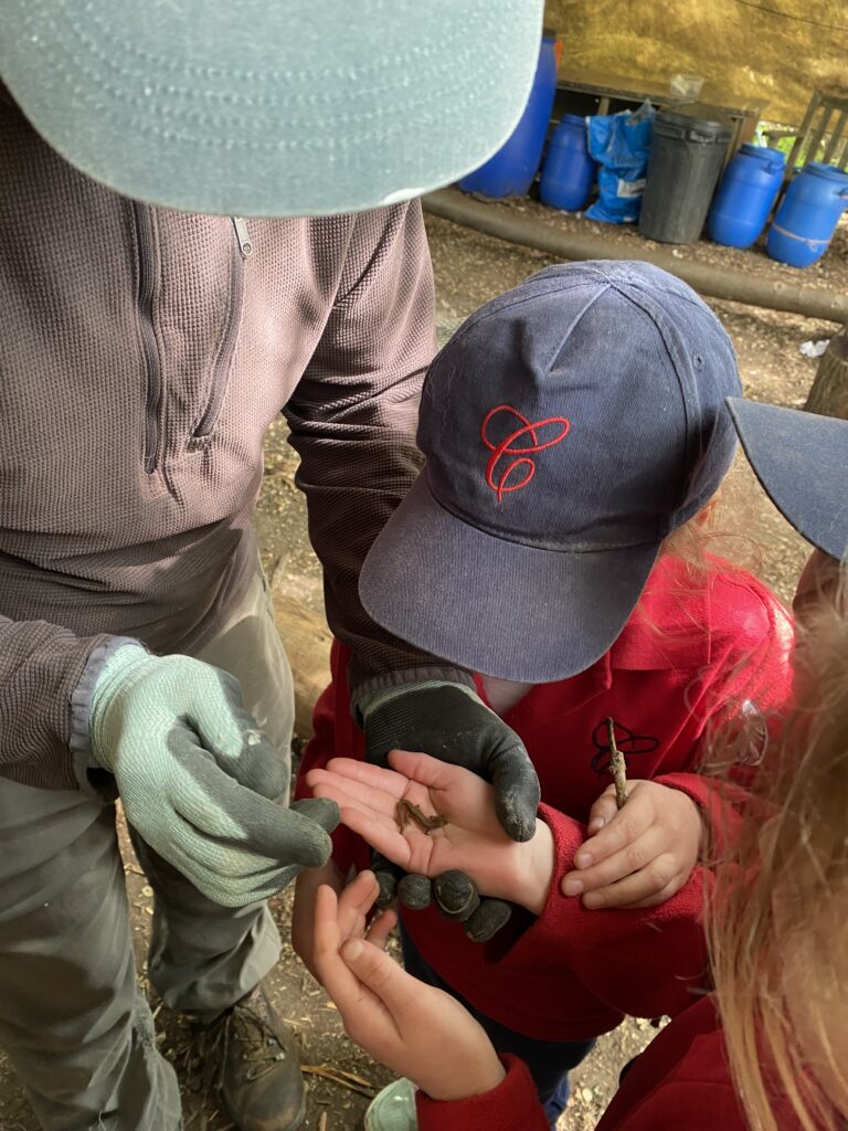 Bug explorers and newt saviours!, Copthill School