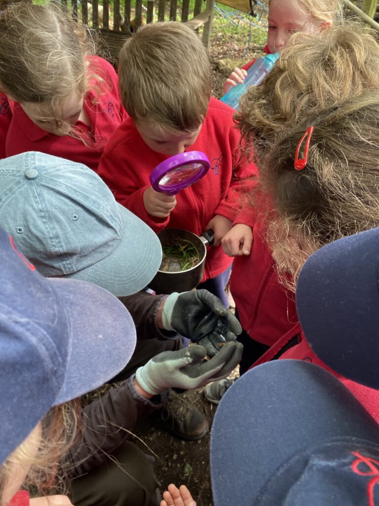 Bug explorers and newt saviours!, Copthill School