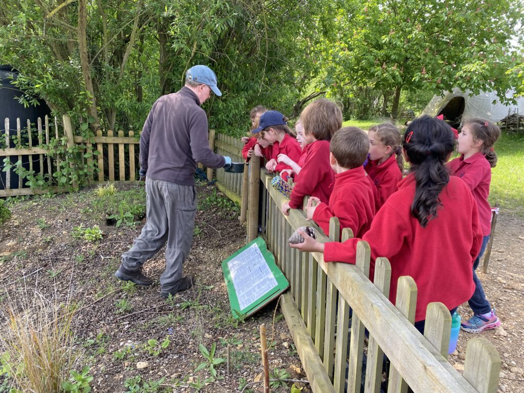 Bug explorers and newt saviours!, Copthill School