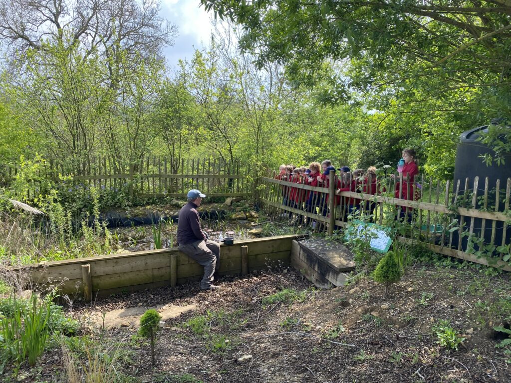 Bug explorers and newt saviours!, Copthill School