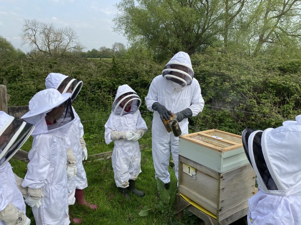 Beekeepers meet the bees!, Copthill School