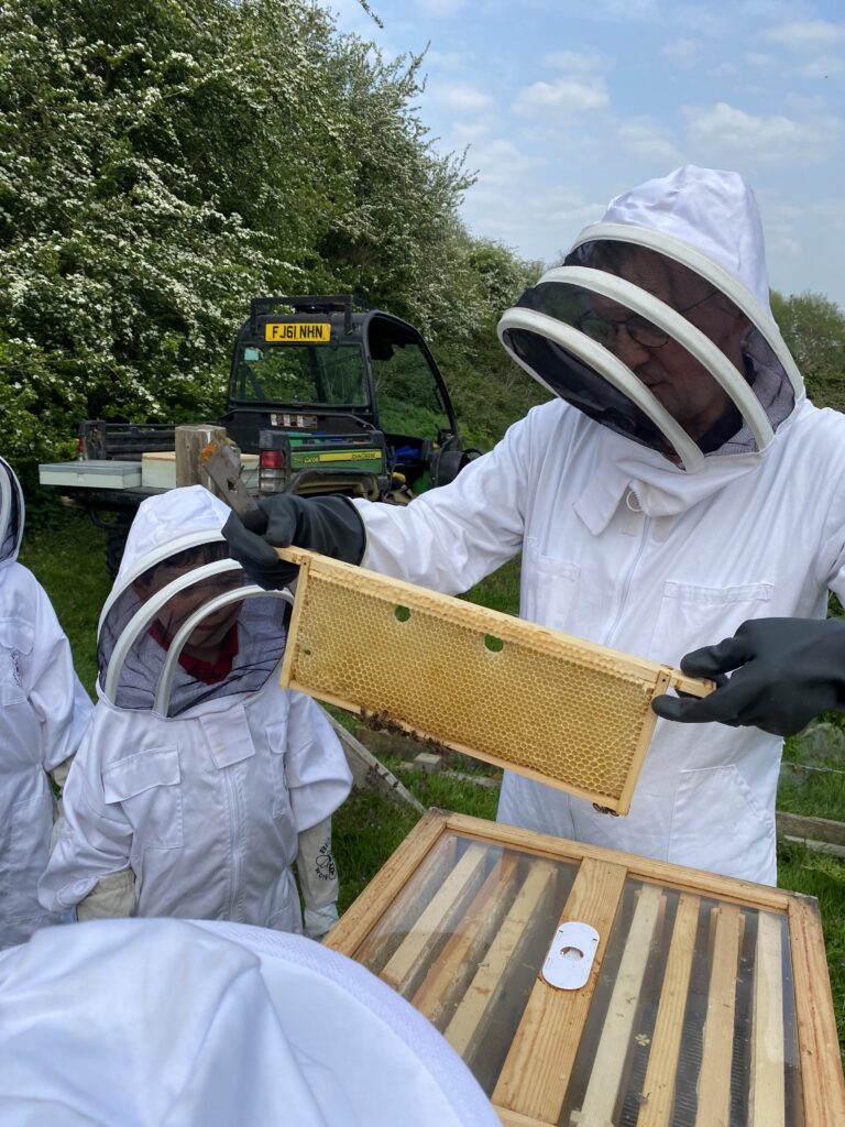 Beekeepers meet the bees!, Copthill School