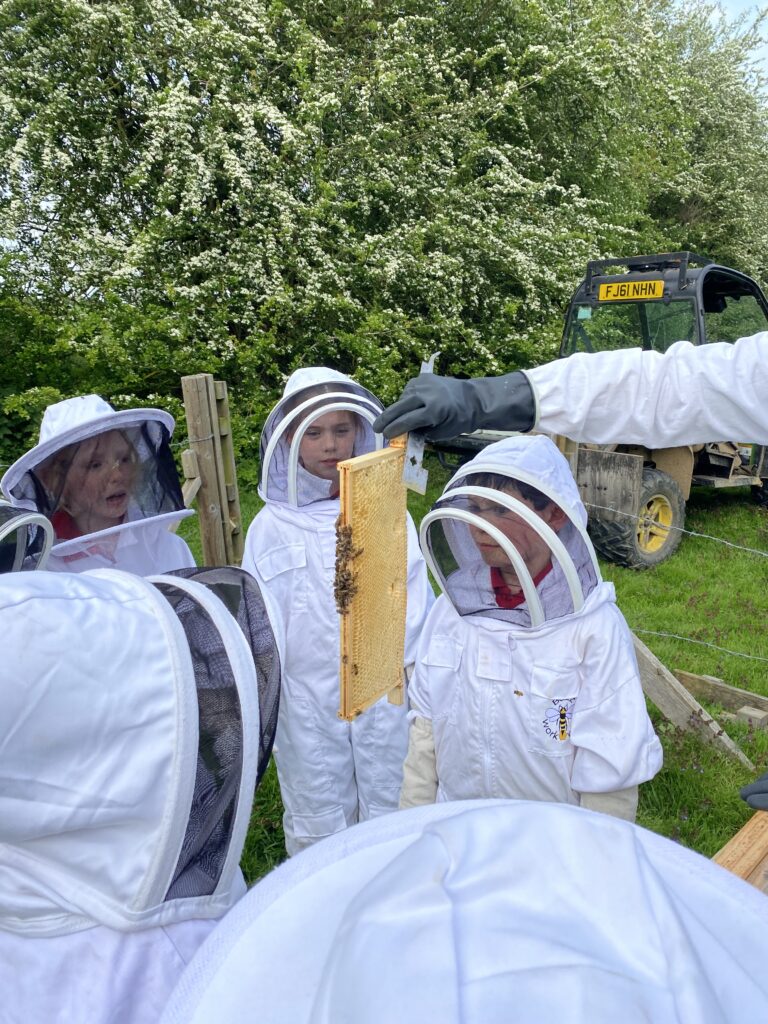 Beekeepers meet the bees!, Copthill School