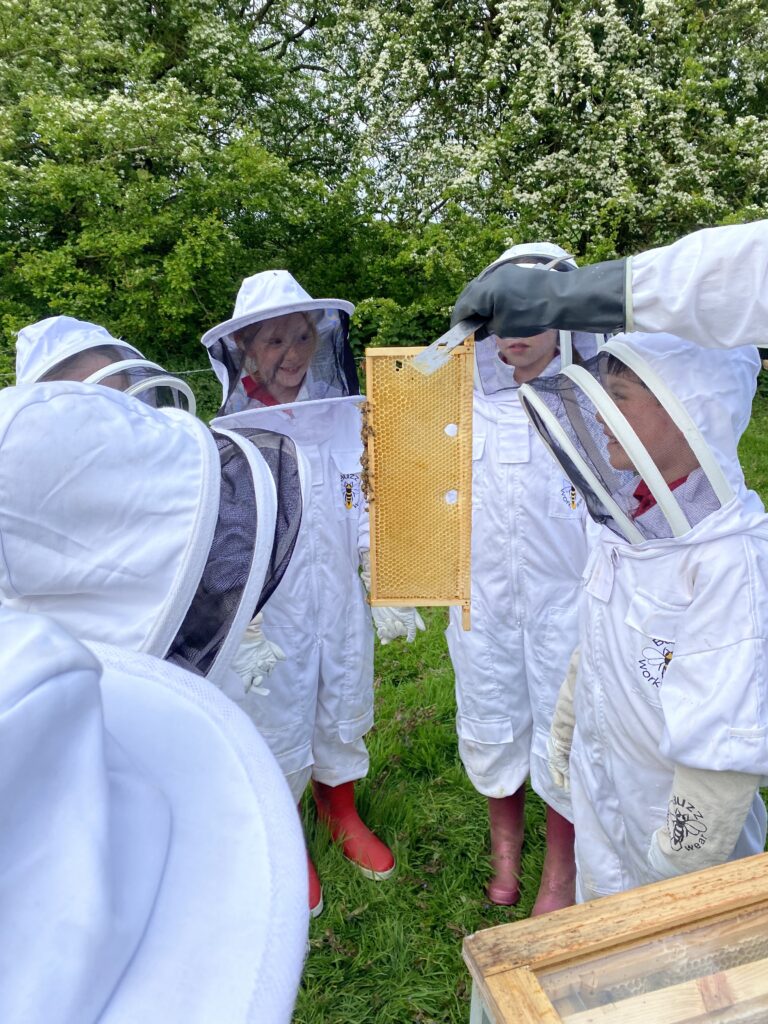 Beekeepers meet the bees!, Copthill School