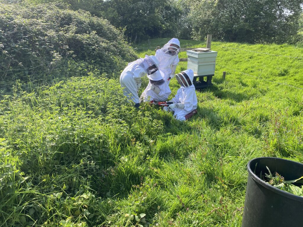 Busy bees!, Copthill School