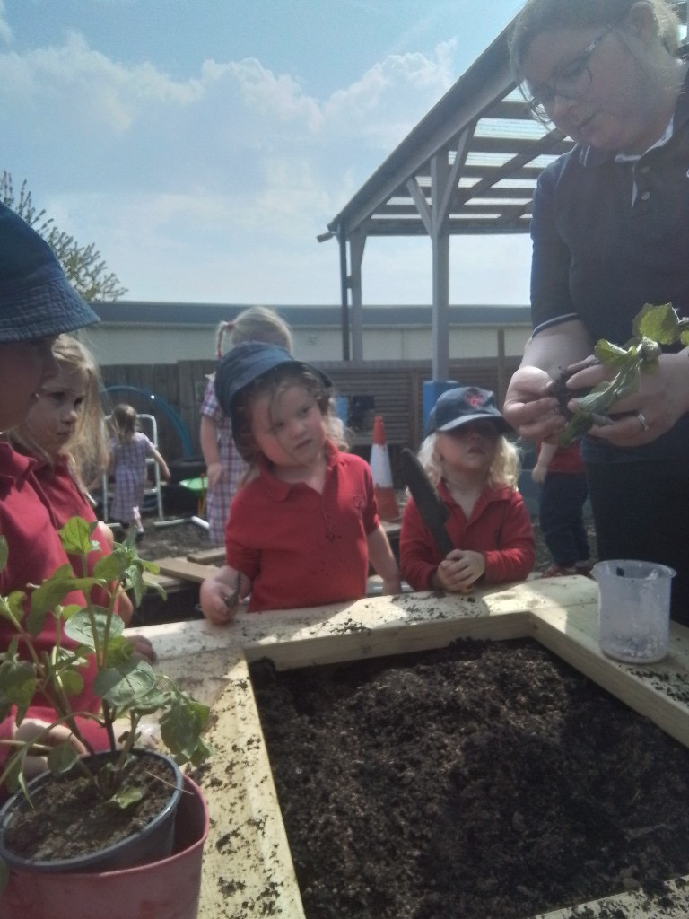 Herb Garden, Copthill School