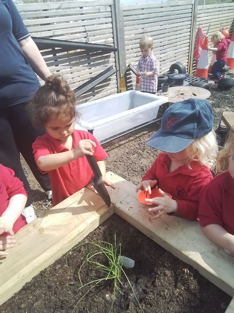 Herb Garden, Copthill School