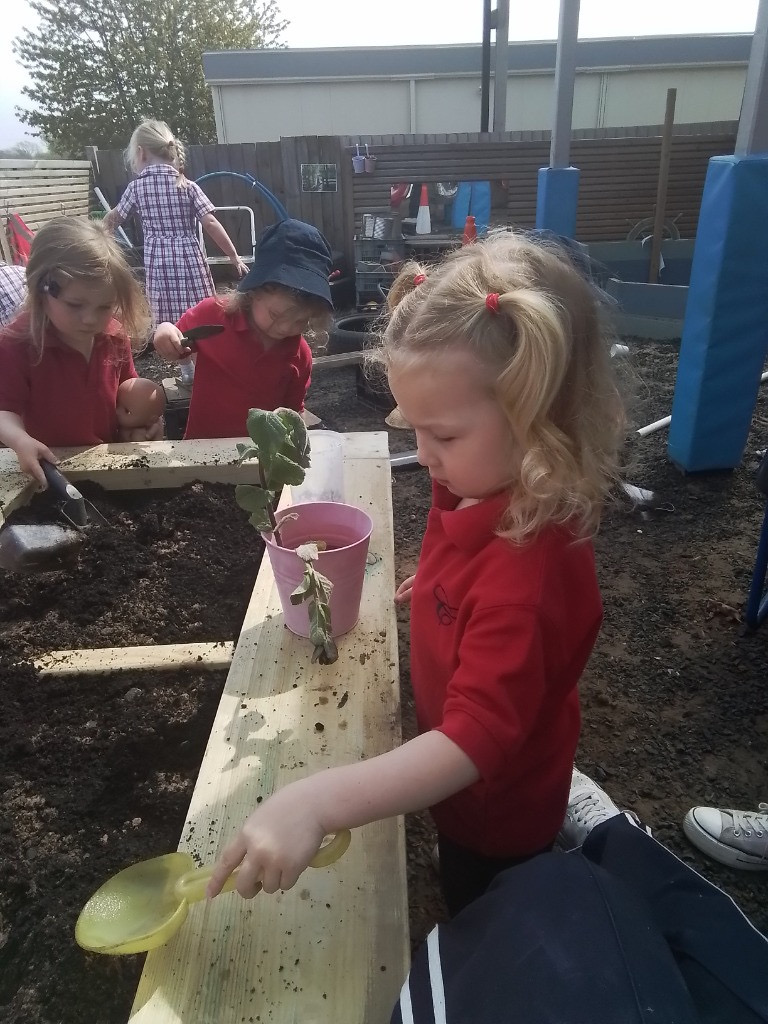 Herb Garden, Copthill School