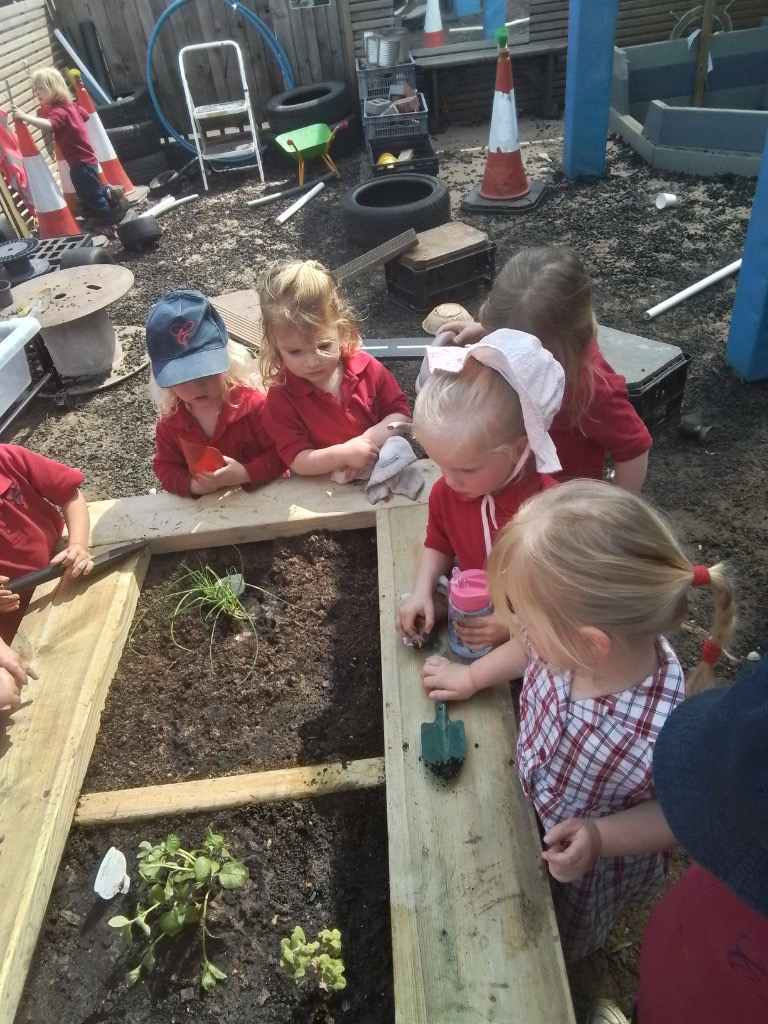 Herb Garden, Copthill School