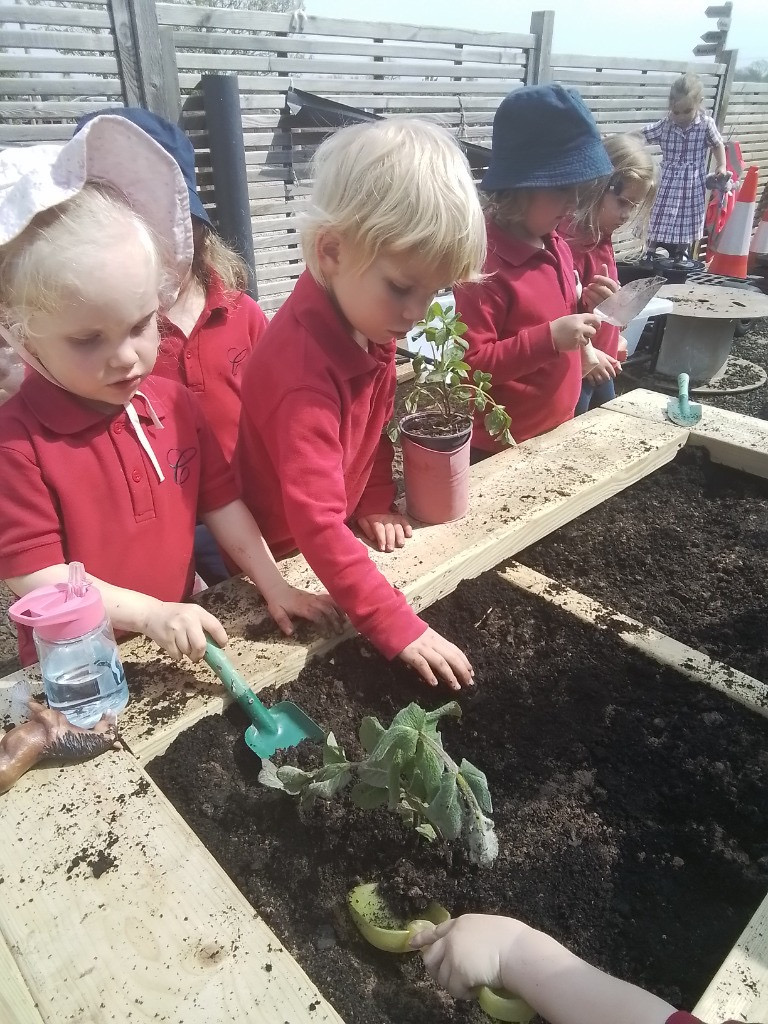 Herb Garden, Copthill School