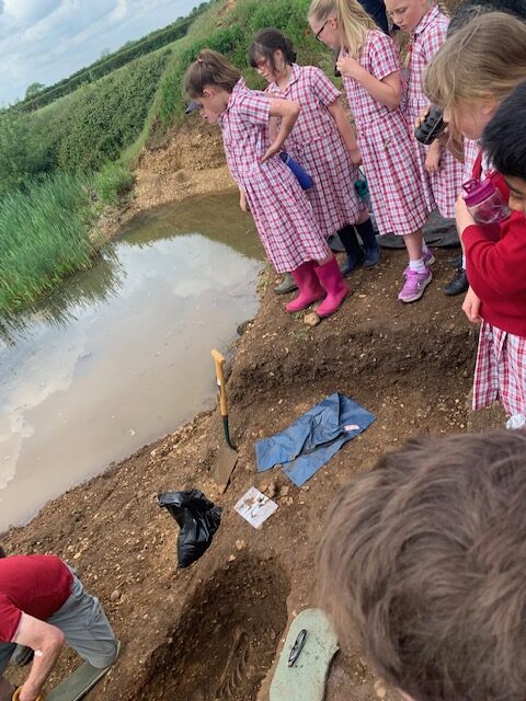 Bones bones bones&#8230;, Copthill School