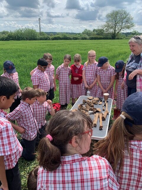 Bones bones bones&#8230;, Copthill School