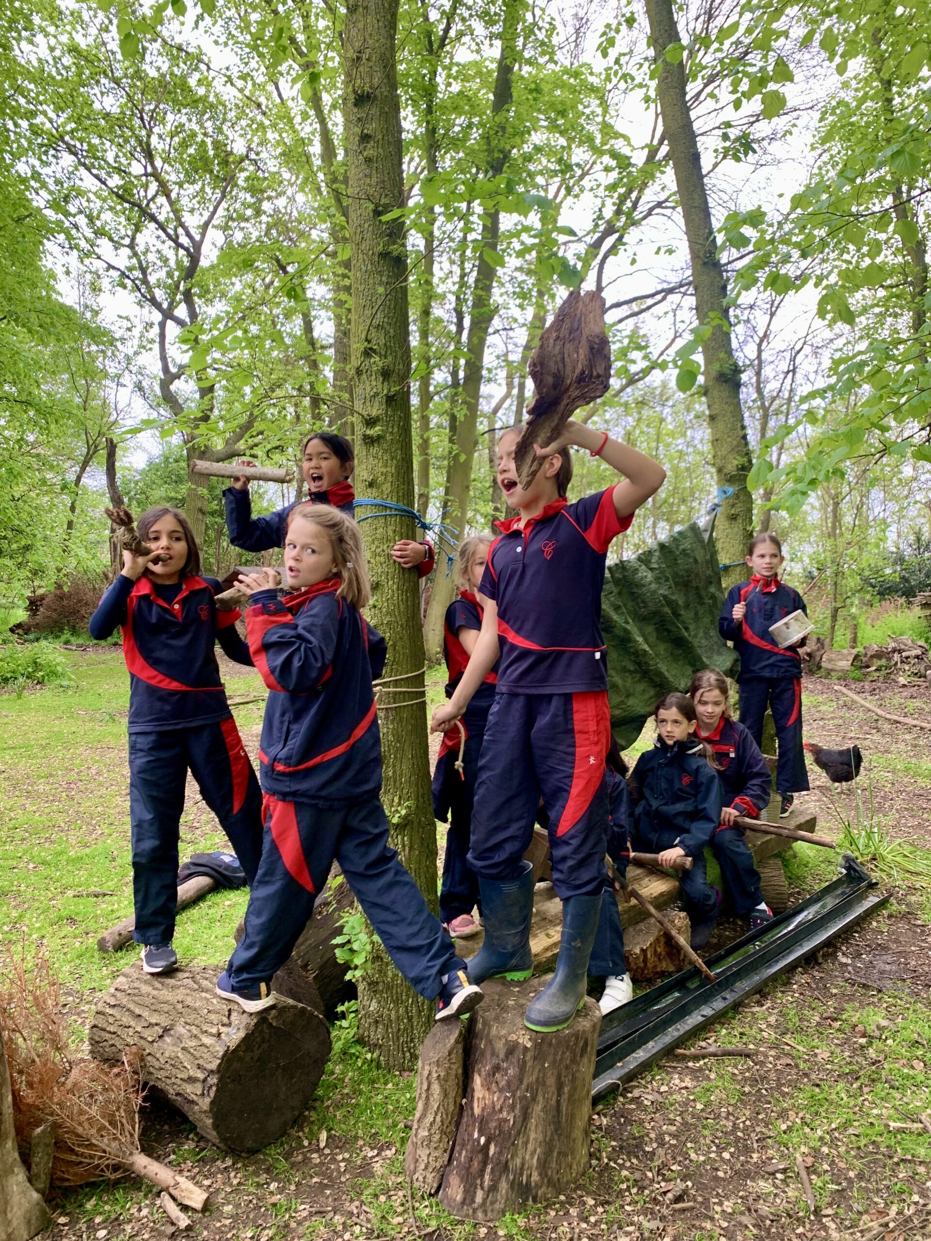 Vikings Reported in the Woods, Copthill School