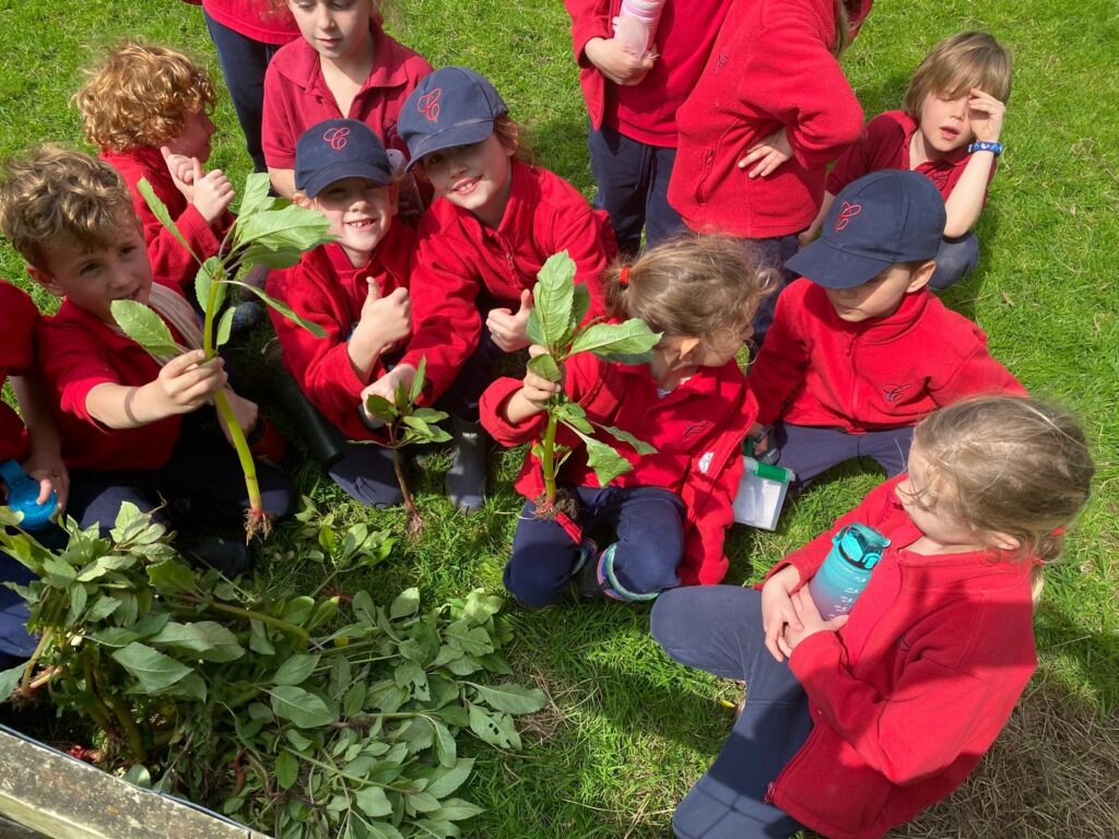 From the darkest Peru&#8230;, Copthill School