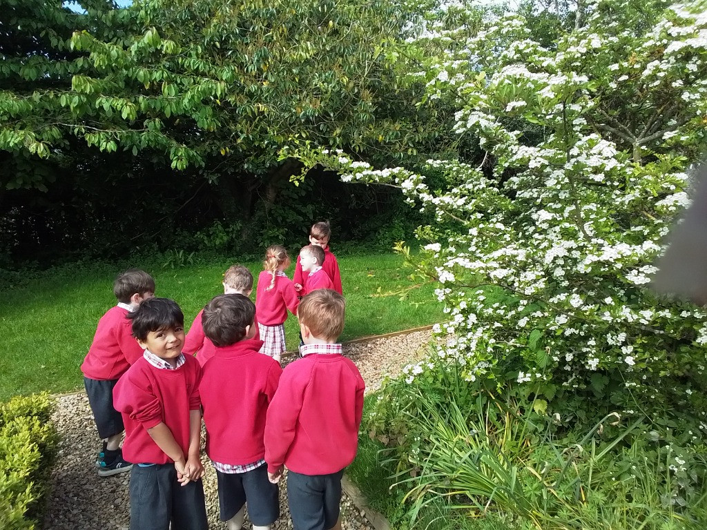 Apple STEM experiments and Flower Hunts, Copthill School