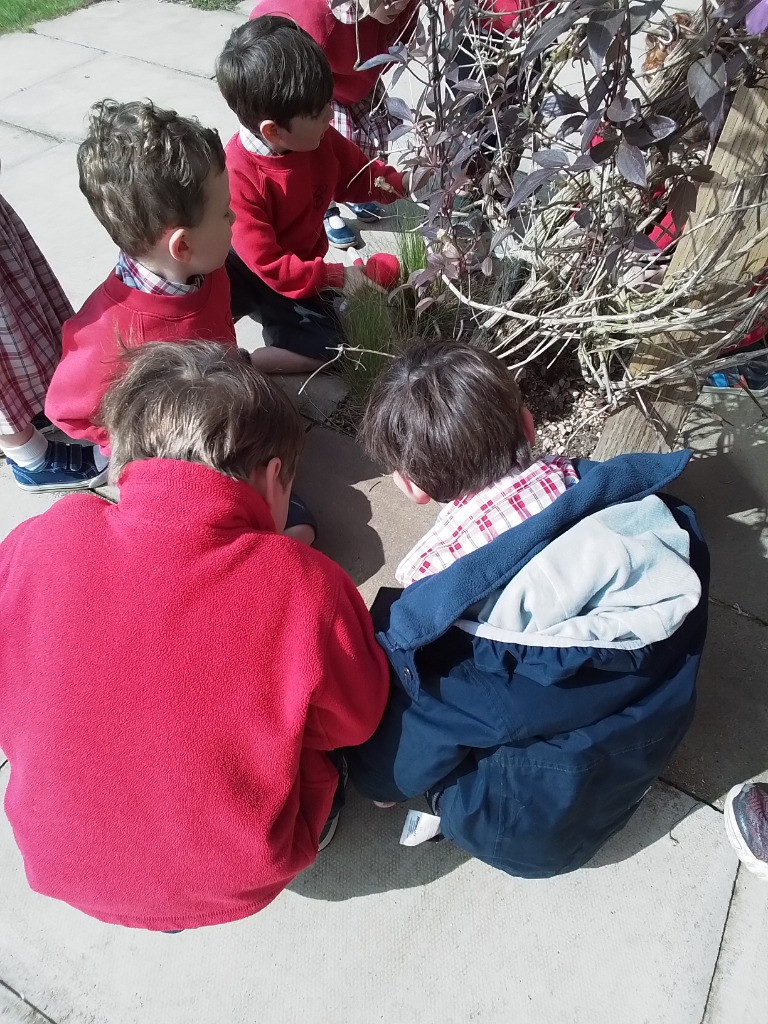 Apple STEM experiments and Flower Hunts, Copthill School